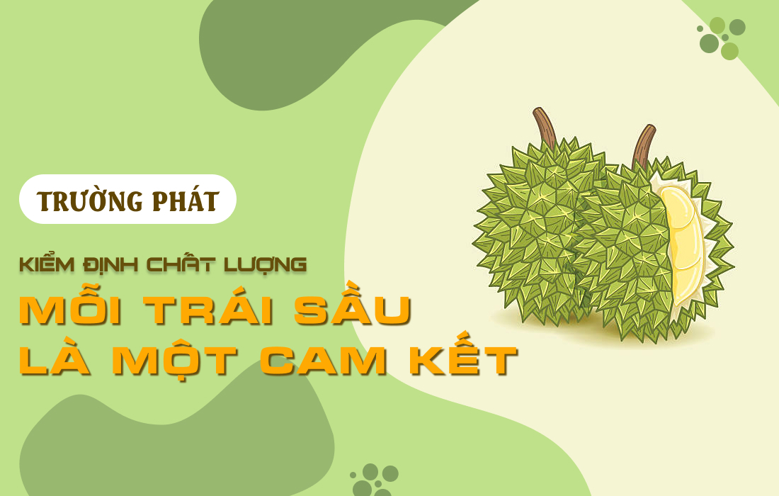 🧪 Kiểm Định Chất Lượng – Mỗi Trái Sầu Là Một Cam Kết
