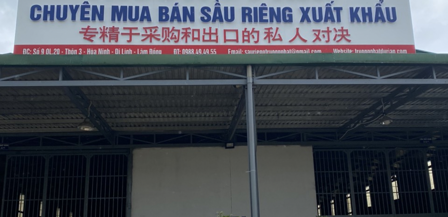 SẦU RIÊNG LÂM ĐỒNG | TRƯỜNG PHÁT DURIAN | XUẤT KHẨU SẦU RIÊNG LÂM ĐỒNG | VỰA SẦU RIÊNG LÂM ĐỒNG