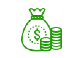 Thu hoạch sầu riêng tại vùng trồng