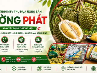 Đôi nét về công ty
