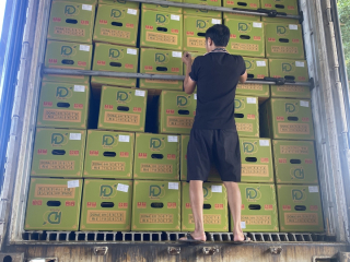 XUẤT KHẨU SẦU RIÊNG