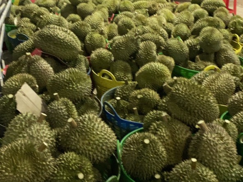 Phân loại sầu riêng khi chở về