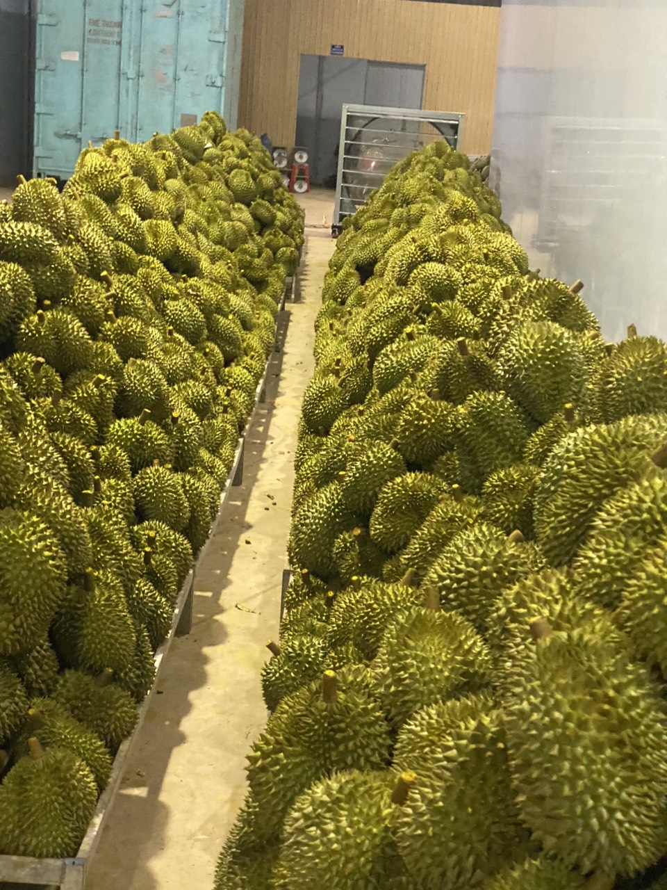 che bien sau rieng xuat khau lam dong