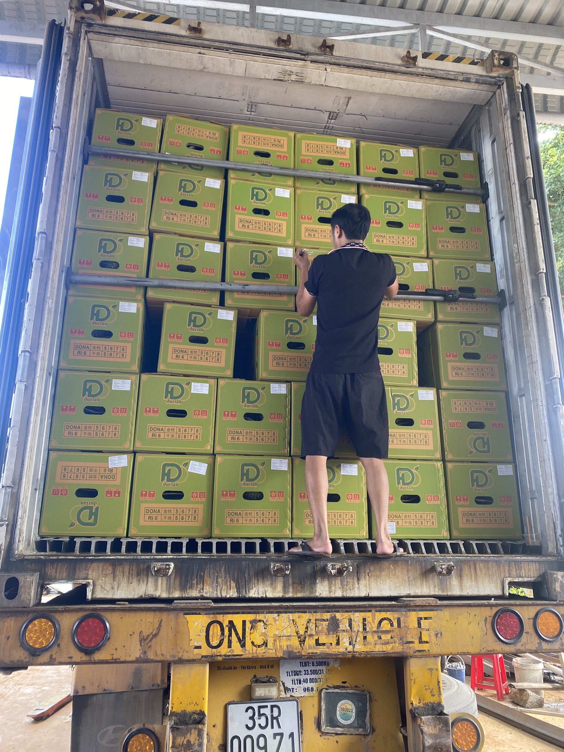 xuat khau sau rieng lam dong